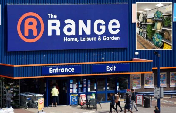 Shoppers rush to buy 'gorgeous' outdoor cushions from The Range for just £8 – just in time for summer | The Sun