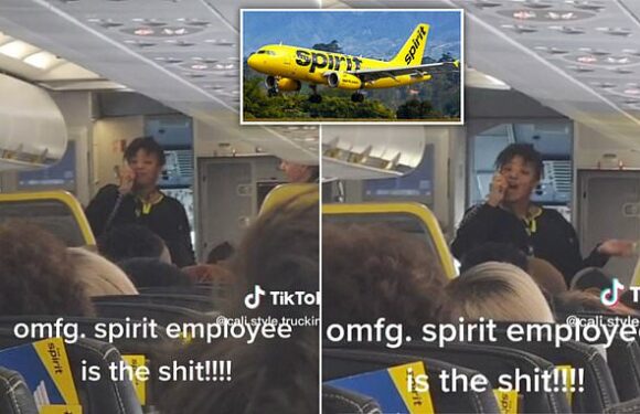Spirit Airlines flight attendant goes viral