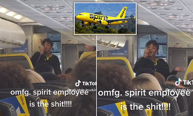 Spirit Airlines flight attendant goes viral