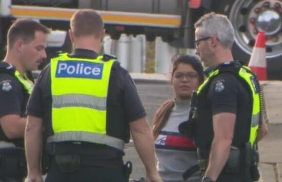 Tesla ‘autopilot’ crash driver to stand trial after critically injuring woman