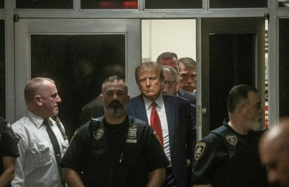 The Trump Mug Shots We Deserve