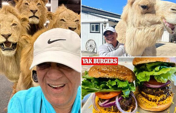 The man who sells you LION for dinner