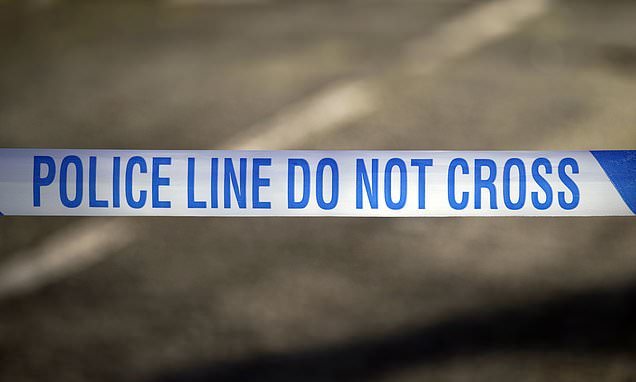 Toddler dies after falling ill in bath & being rushed to hospital