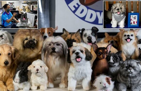 Toymaker makes stuffed replicas of dead pets in the Philippines