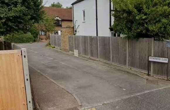 Tragedy as woman in her 70s is killed in devastating Wimbledon house fire | The Sun