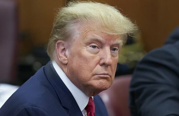 Trump in court: First pictures as he is charged in Stormy Daniels case