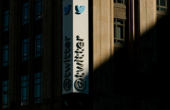 Twitter Users Are Still Waiting for a Check-Mark Reckoning