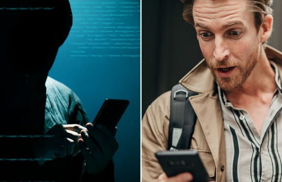 WhatsApp users urged to check their phone for ‘convincing’ dodgy scam message