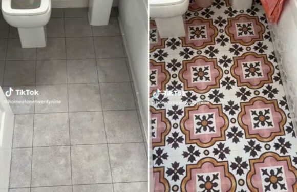 Woman proudly shows off her new DIY bathroom floor but everyone’s saying the same thing about her toilet | The Sun