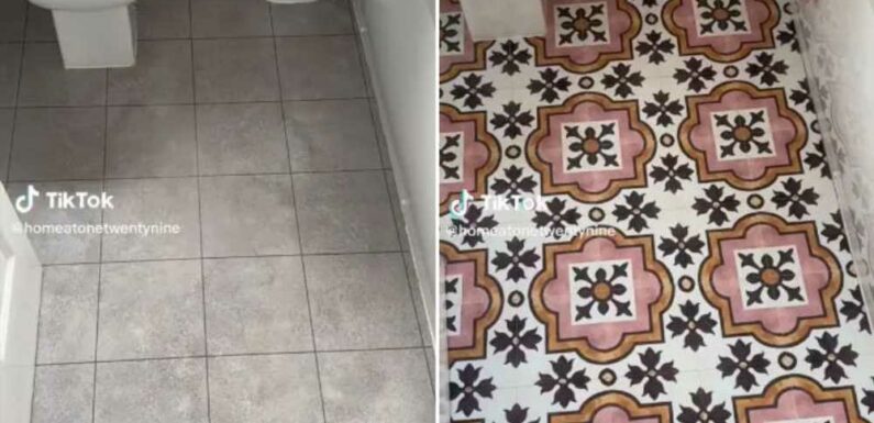 Woman proudly shows off her new DIY bathroom floor but everyone’s saying the same thing about her toilet | The Sun