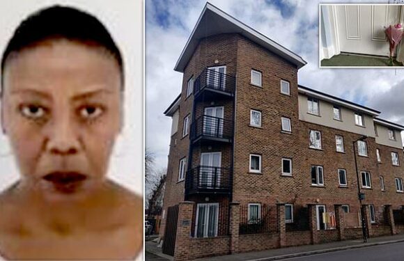 Woman's home infested by maggots as she lived below dead neighbour