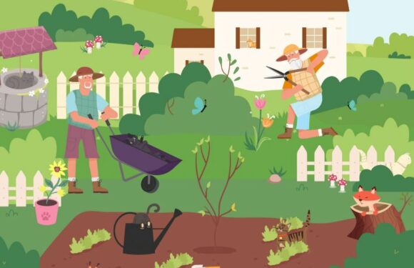 You need 20/20 vision to spot the SEVEN cats hiding in this garden in less than 15 seconds | The Sun