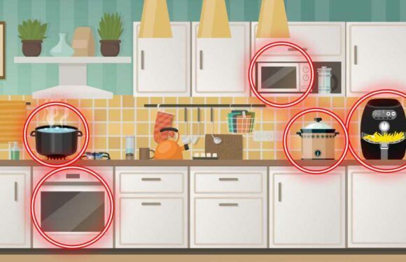 You've been using your kitchen appliances all wrong – the best way to use gadgets like air fryers and microwaves | The Sun
