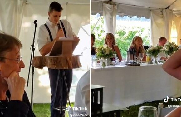 Bride's brother delivers hilarious wedding speech roasting his sister