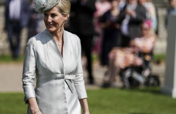Duchess Sophie looks gorgeous in grey at royal garden party