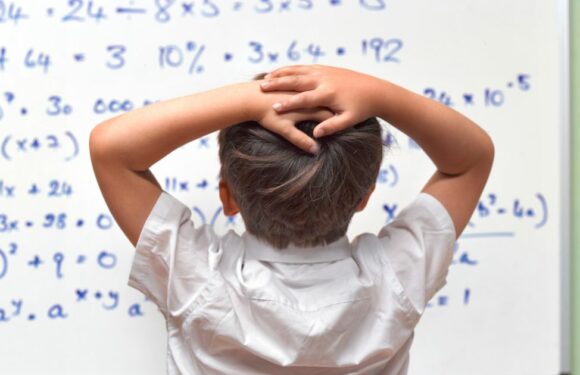 GCSE maths question baffles students – and even adults are struggling to do it