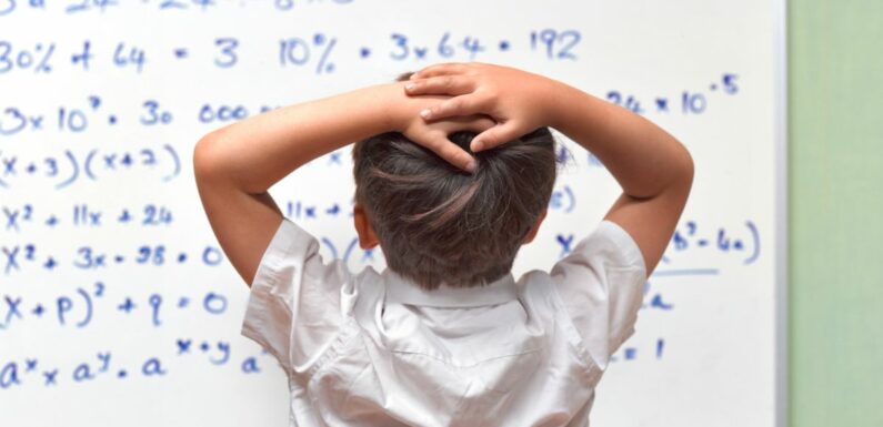GCSE maths question baffles students – and even adults are struggling to do it