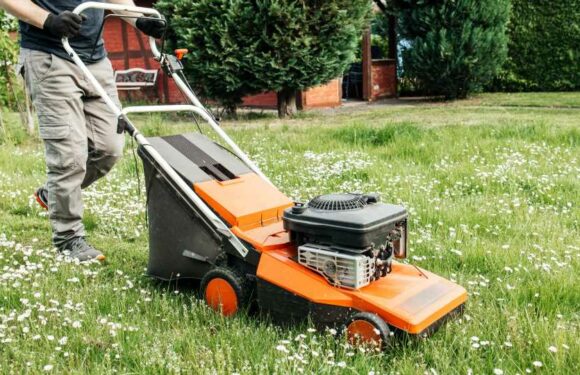 Gardening tips 2023 — Mowing the lawn incorrectly will encourage unwanted weed growth – how to prevent this huge mistake | The Sun