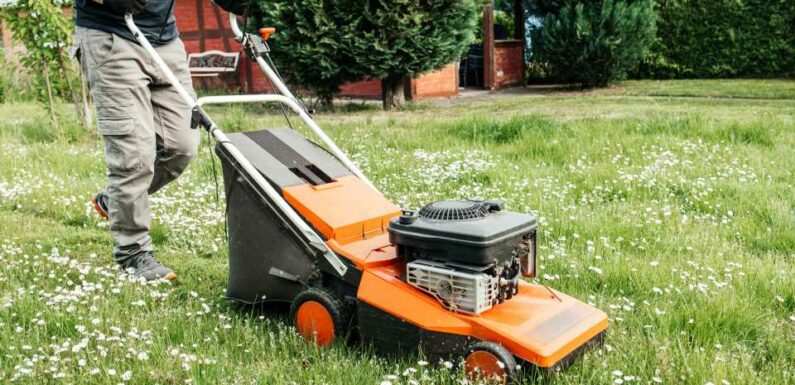 Gardening tips 2023 — Mowing the lawn incorrectly will encourage unwanted weed growth – how to prevent this huge mistake | The Sun
