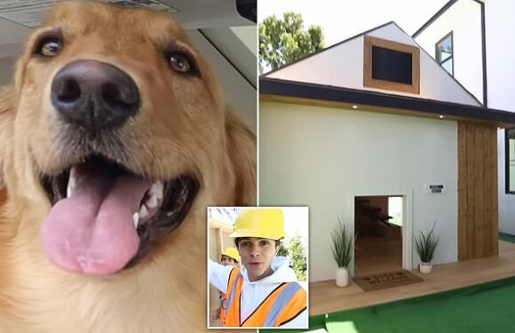 Man builds $20,000 'dream house' for his DOG that includes mini-fridge