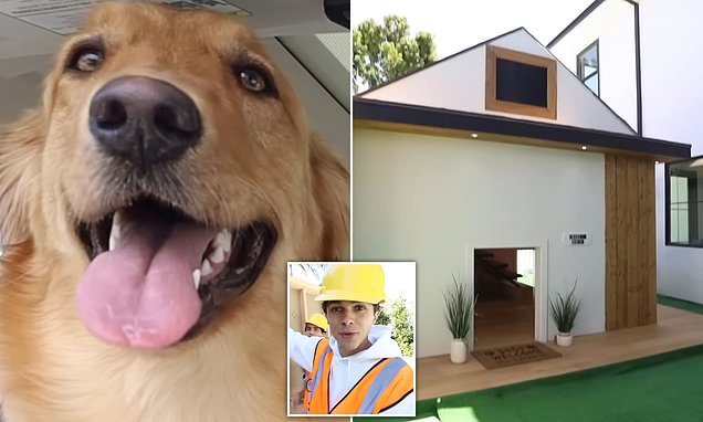 Man builds $20,000 'dream house' for his DOG that includes mini-fridge