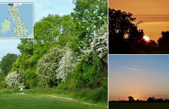 Met Office predicts heat blast next month with spell of good weather