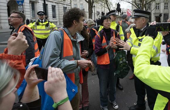 Police confront Just Stop Oil eco-mob causing travel chaos in London