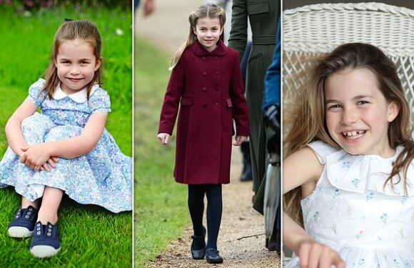 Princess Charlotte wore £70 Trotters dress for 8th birthday portrait