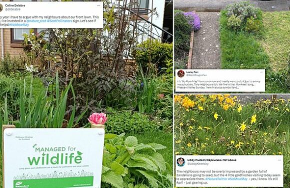 Row erupts over #NoMowMay as Brits eco-shame their neighbours