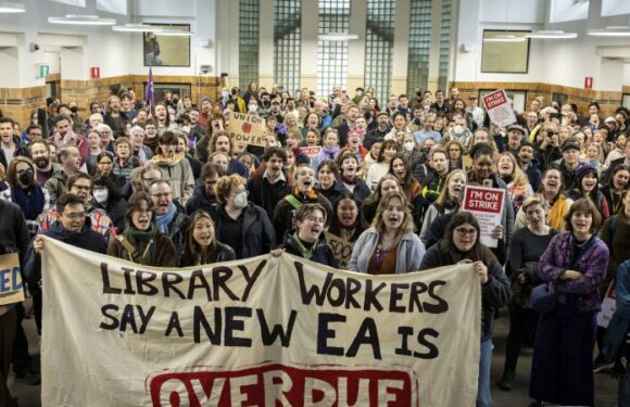 Staff at five universities strike in fight to end reliance on casual labour