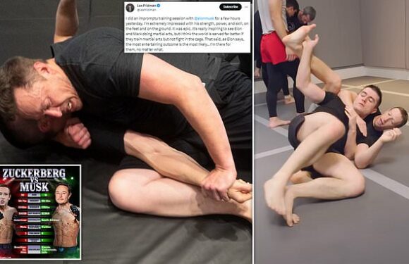 Elon Musk shows off his throw-down technique ahead of Zuckerberg fight