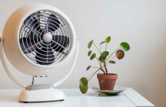 How much does it cost to leave a fan on all night? | The Sun