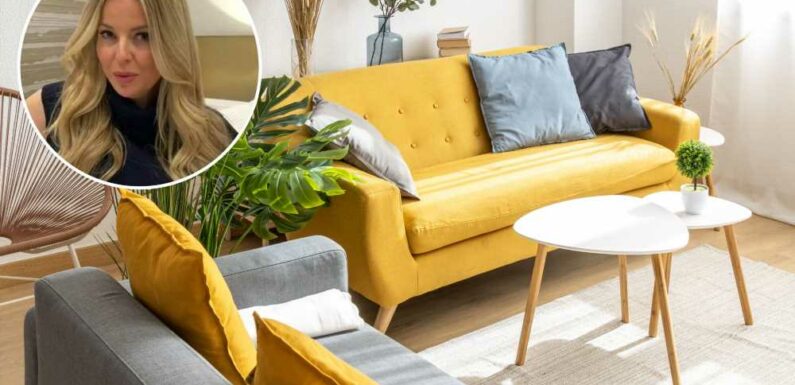 I'm an interior designer and can make tiny living rooms look huge in minutes – my coffee table hack is called genius | The Sun