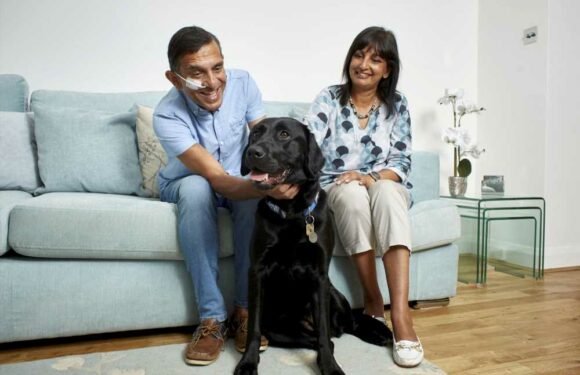 Nearly half of Brits want to own a dog but can't afford to or don't have time, study finds | The Sun