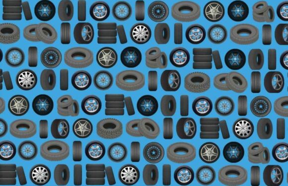 Only people with 20/20 vision can spot the flat tyre in this picture – so are you one of the amazing few? | The Sun