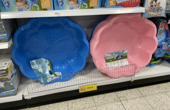 Savvy mums flock to Home Bargains to snap up a kids' paddling pool for less than a fiver | The Sun