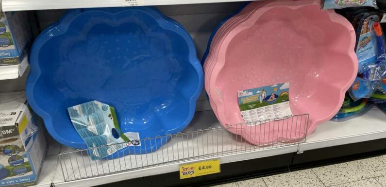 Savvy mums flock to Home Bargains to snap up a kids' paddling pool for less than a fiver | The Sun
