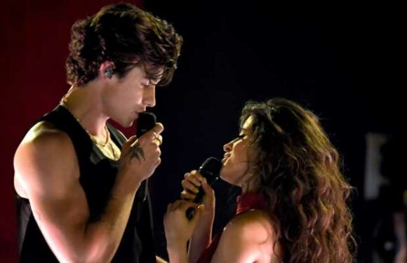 Shawn Mendes Reportedly Needs ‘Time to Himself’ Following Camila Cabello Reunion