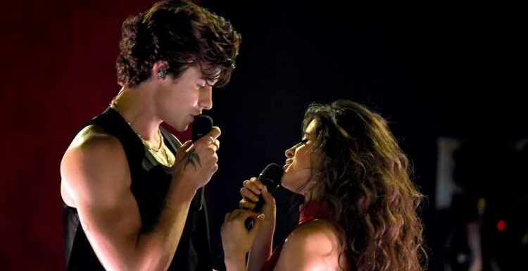 Shawn Mendes Reportedly Needs ‘Time to Himself’ Following Camila Cabello Reunion