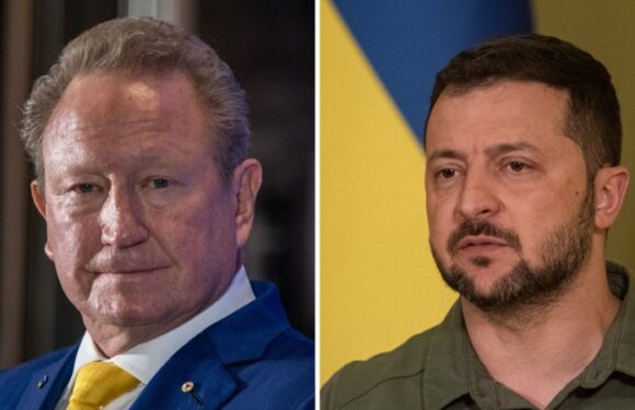 Twiggy backs Ukraine’s ambition to go cashless in anti-corruption bid