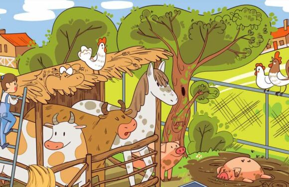 You have the eyes of a hawk if you can spot all ten farm animals hiding in plain sight in less than a minute | The Sun