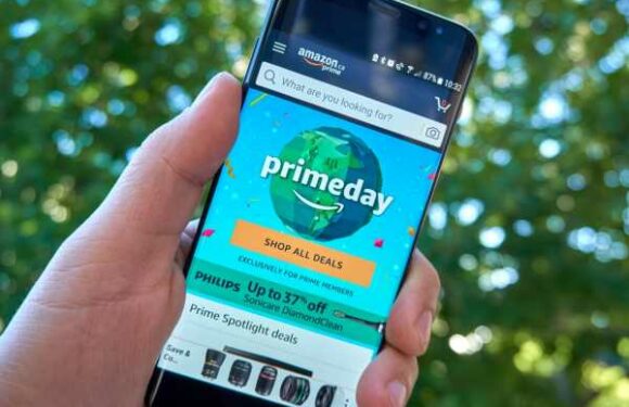 25 Bra, Underwear and Basics Deals From Amazon Prime Day