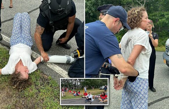 Abigail Disney cut out of pipe by cops at New York climate protest