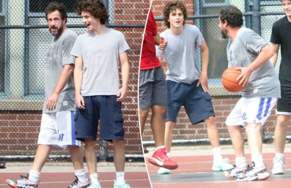 Adam Sandler, Timothée Chalamet spotted playing pickup basketball game in NYC