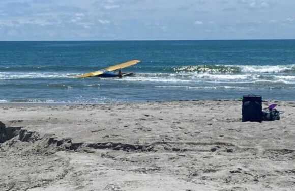 Aircraft plummets into sea near popular beach as beachgoers watch in horror