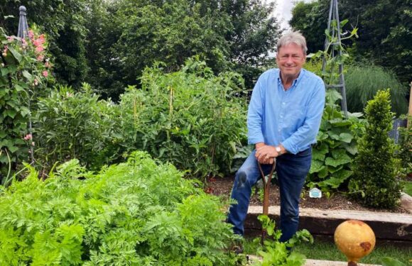 Alan Titchmarsh warns of dangerous new gardening craze which could wreck wildlife – but is loved by millions | The Sun