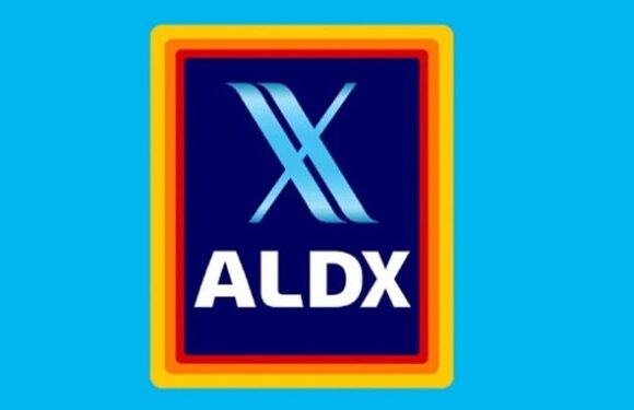 Aldi takes a cheeky swipe at Elon Musk's Twitter rebrand