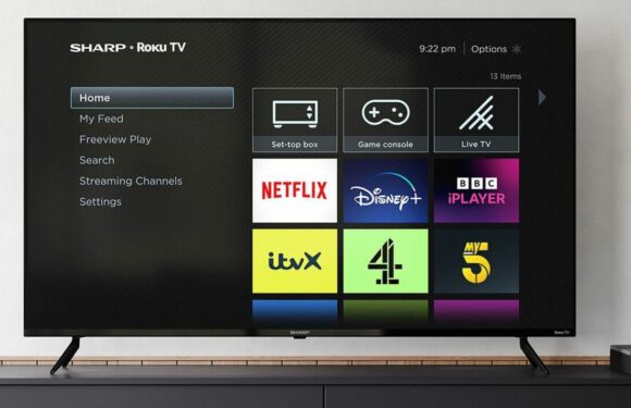 Amazon’s Fire TV gets cheap new rival which even includes free content to watch