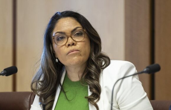 Australia news LIVE: Voice to parliament No campaign to bypass Victoria, discussion continues over Labor’s industrial relations laws