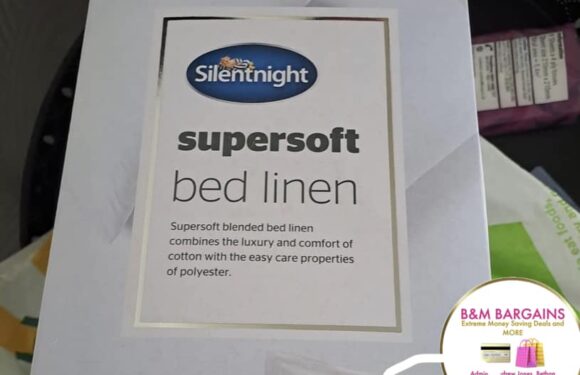 B&M shoppers are going wild for £5.99 linen which is scanning at the tills for just 50p | The Sun